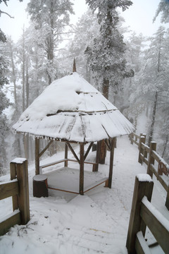 雪景