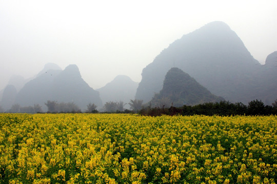 遇龙河 高格