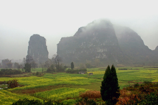 遇龙河 高格