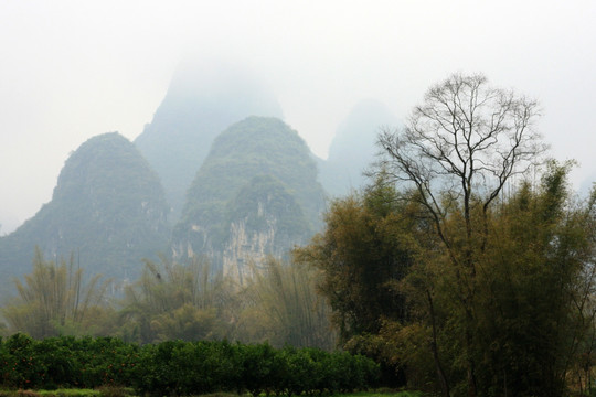 遇龙河自然风光 高格