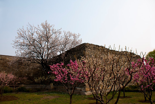 北京明城墙遗址公园