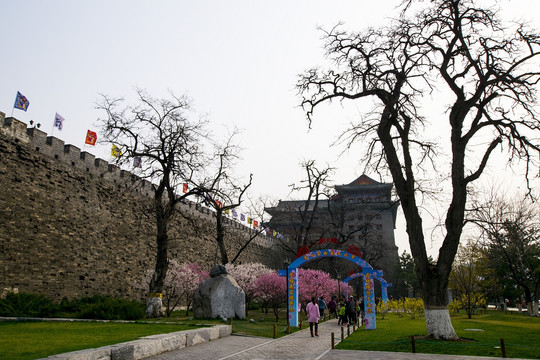 北京明城墙遗址公园 桃花节