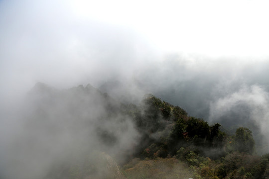 高山晨雾