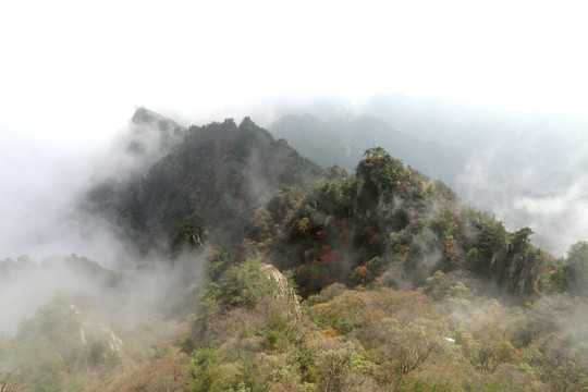 高山晨雾