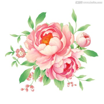 手繪花卉