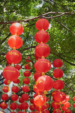 北京路步行街新年树上红灯笼庙会