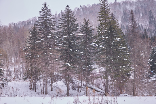 黑龙江哈尔滨雪乡