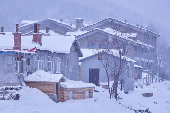 黑龙江哈尔滨雪乡