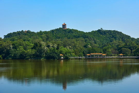 广州麓湖公园