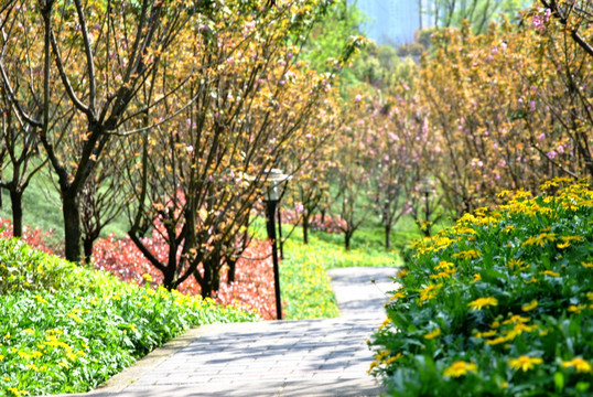 城市花园小道