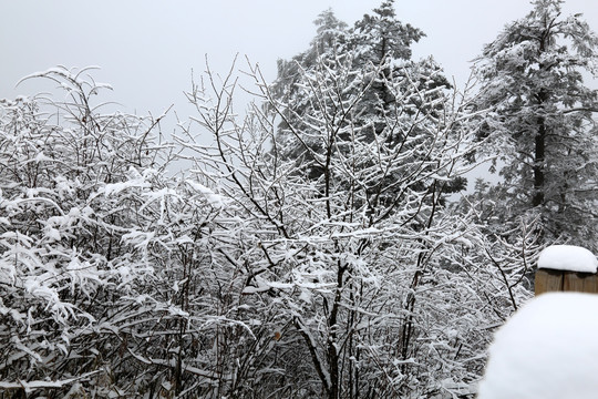 高清雪景