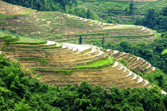 梯田风光