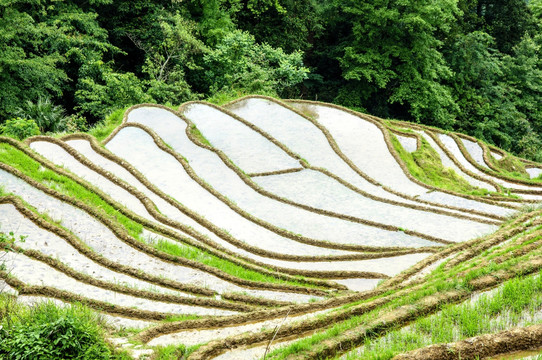 梯田风光