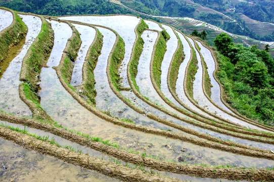 梯田风光