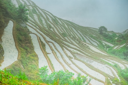 梯田风光