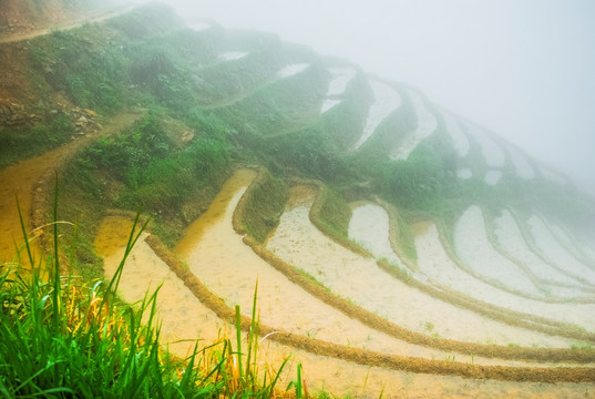 梯田风光