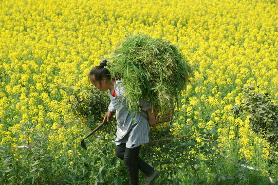 背草的农妇