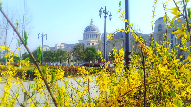 河南农业大学校园风景