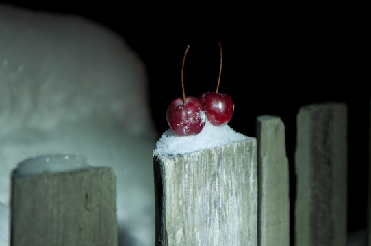 黑龙江哈尔滨雪乡