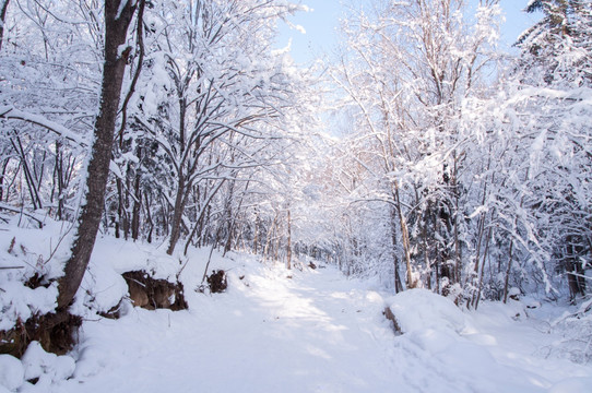 雪地冰挂