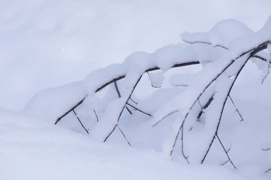 雪地冰挂