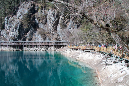 四川阿坝九寨沟熊猫海