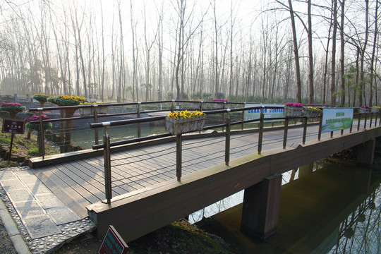 森林公园木桥