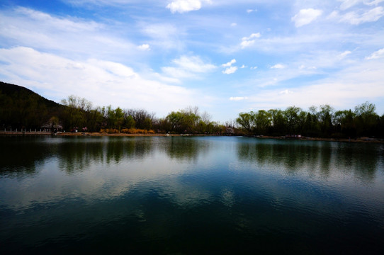 北京植物园湖水