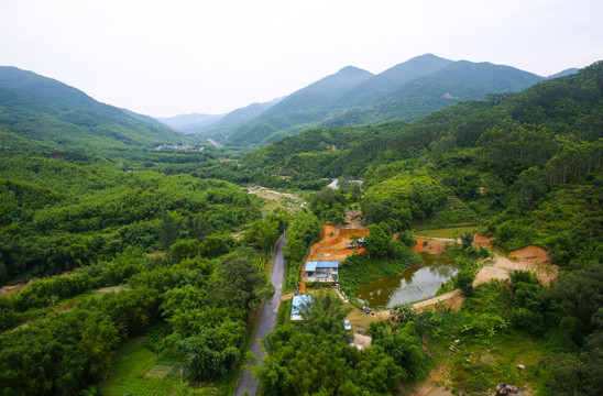 望夫山 生态 休闲园