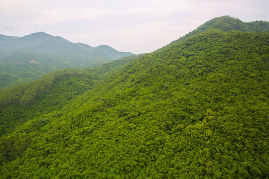 高山 青山绿水