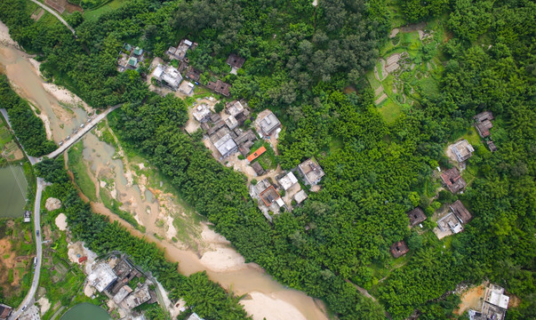 竹林 山村