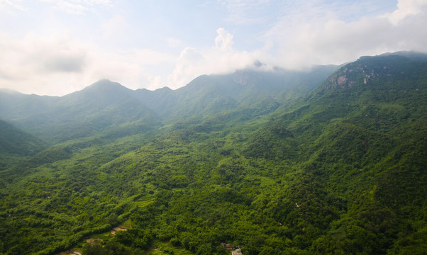 山脉 青山 高山