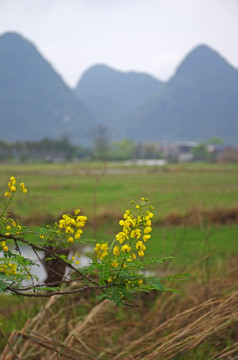 春暖花开