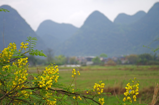 梦幻乡村