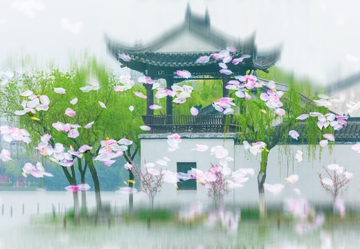 南京莫愁湖的春天