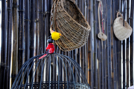 竹篱笆与鸟笼