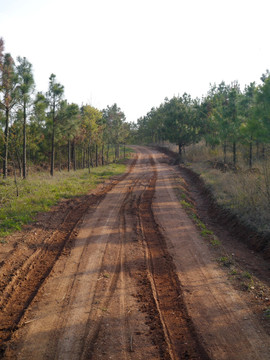 山路