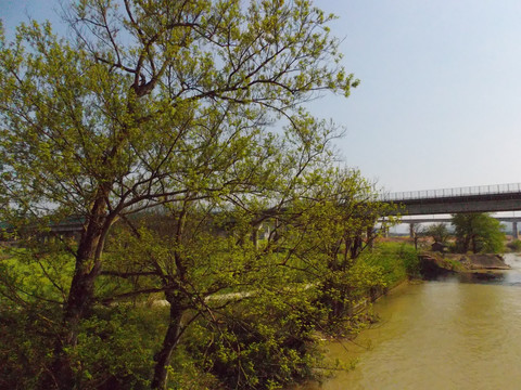 河畔风景