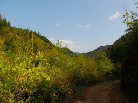 山间小路