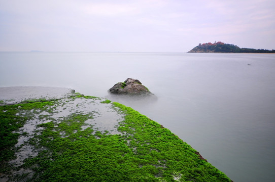 涌动的大海 海的春天 绿色的海