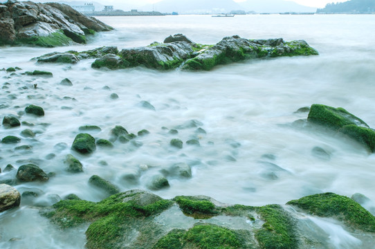 涌动的大海 海的春天 绿色的海