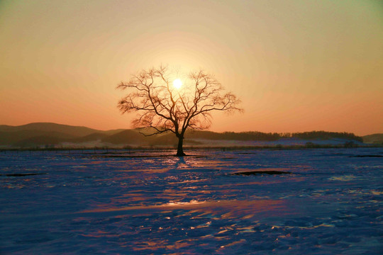 夕阳雪原