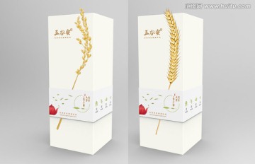 五谷大麥茶包裝