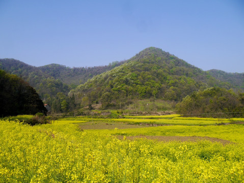 山区