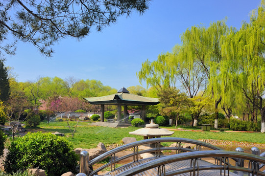 濟南泉城公園