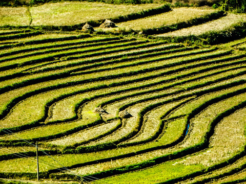 贵州阿沙梯田