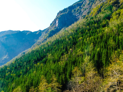 高山山丘