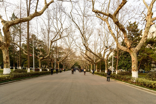 南京大学校园