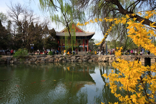 北京大学建筑与景观学院