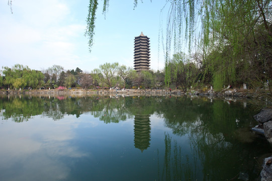 北京大学校园